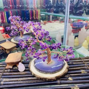 Cây tài lộc thạch anh tím tự nhiên Nolan